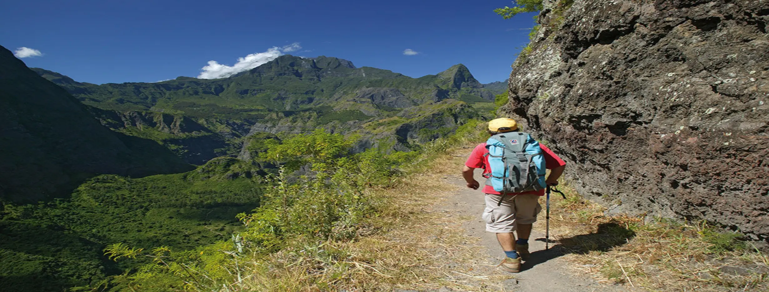 Image for Island Trekking